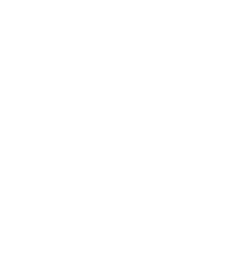 Live Lively Logo